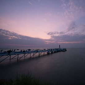 landscape lake victoria by Janny Soer