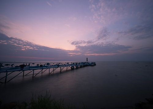 landscape lake victoria