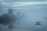 Foggy mills of Kinderdijk with swan