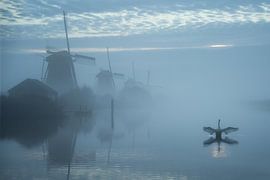 Mistige molens van Kinderdijk met zwaan van Ilona Schong