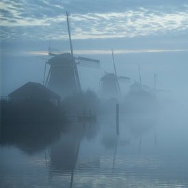 Foggy mills of Kinderdijk with swan by Ilona Schong