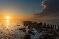 Sunrise Waddenzee Texel