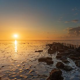 Sonnenaufgang Wattenmeer Texel von LYSVIK PHOTOS