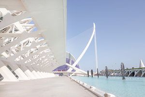 Architektur Stadt der Künste und Wissenschaften Valencia von Déwy de Wit
