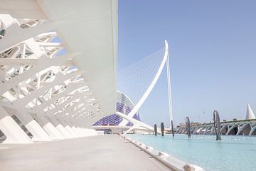 Architectuur Stad van de kunsten en wetenschap Valencia van Déwy de Wit