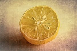 Lemon with seeds by Marianne Twijnstra