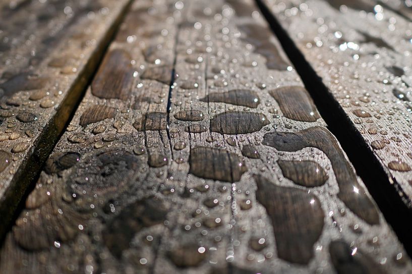 Plank and Water by Jörg Hausmann