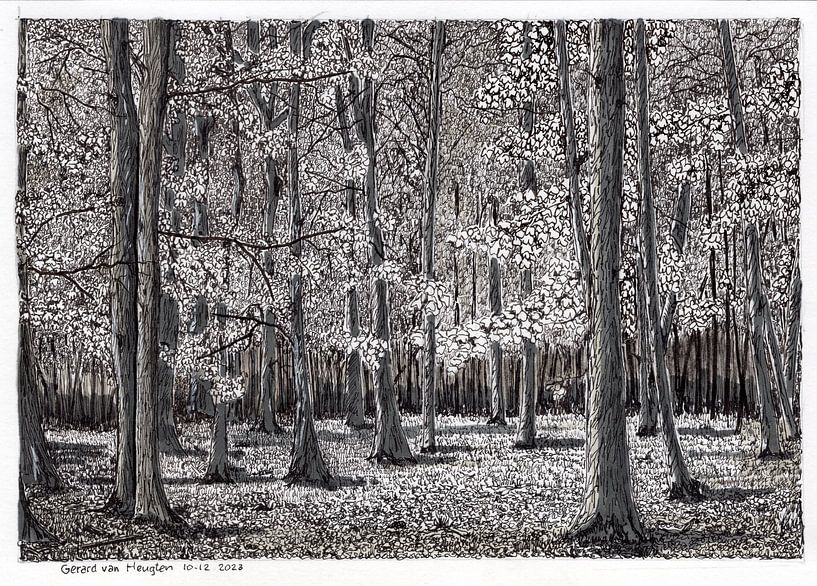 mood drawing by Gerard van Heugten