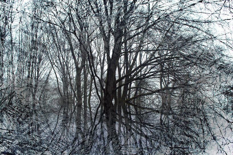 Labyrinthe par Edgar Schermaul