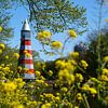 Stadsgezicht: vuurtoren van  Breda - Nederland van Chihong