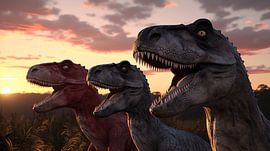 Dino 4 sur Harry Herman