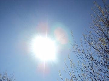 hemelse zon sur Rob Janssen