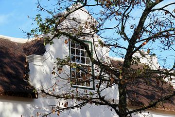 Stellenbosch Cape Dutch architecture by Marieke Funke