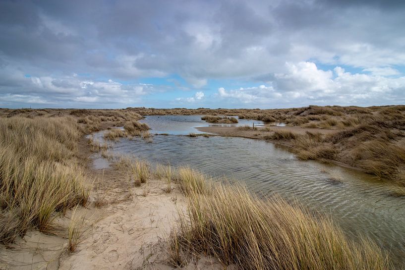 Das Hors Texel von Connie de Graaf