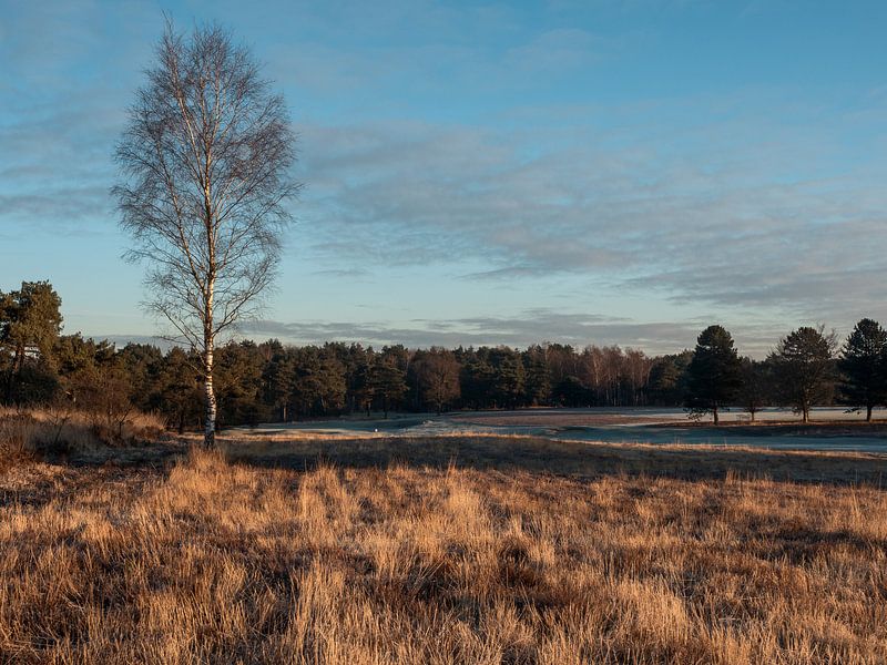 Winterlandschap van Bert Cornelissen