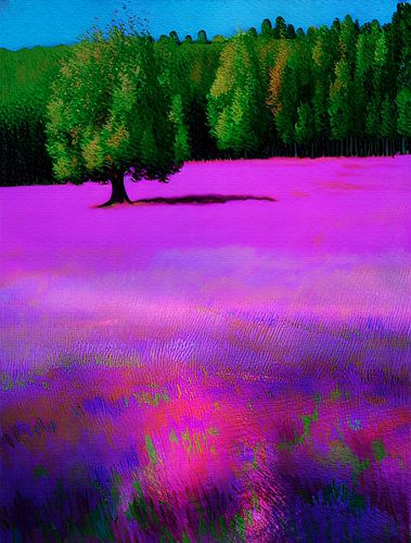 Wo es ruhig wird von Kelly Durieu