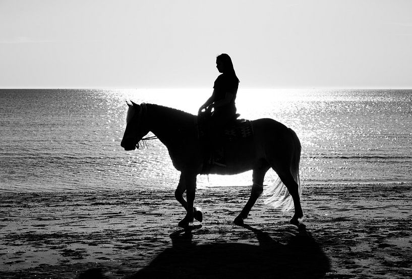 haflinger in  black and white von ChrisWillemsen