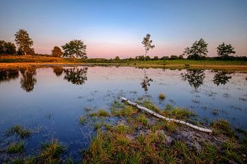 Pond at sunset by Johan Vanbockryck