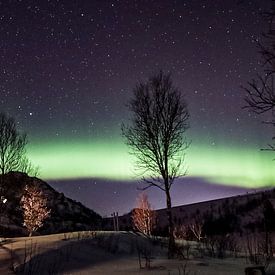 Noorderlicht in Noorwegen van Ruben Gielissen