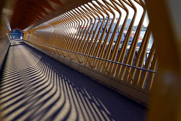 Abstracte architectuur