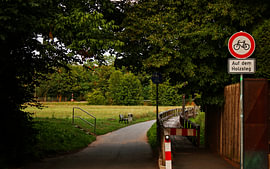 Ein Radweg durch den Park von Armanto Brouka