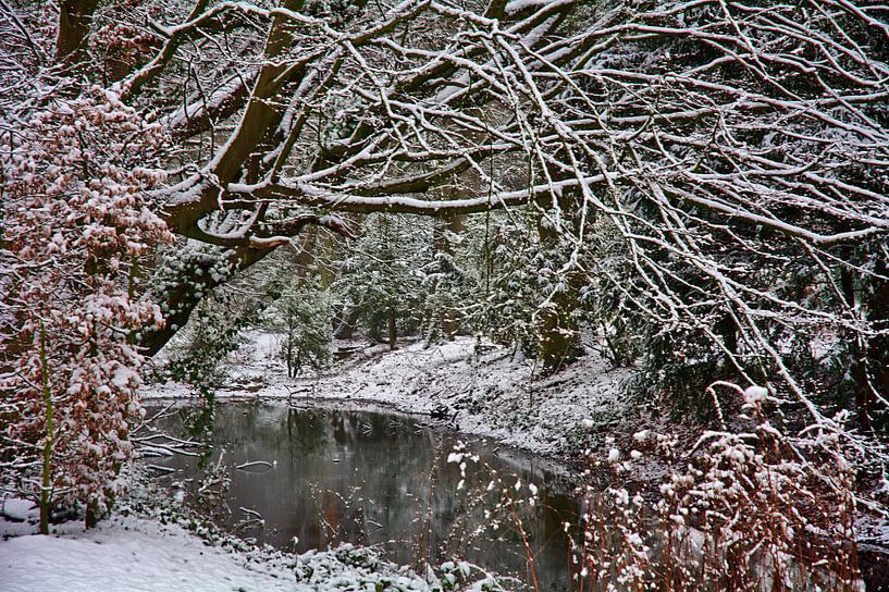 Sneeuw bij de vijver van Edgar Schermaul