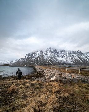 Berg in Noorwegen van Shaun Kingston