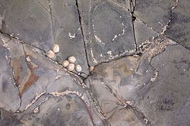 Sandymouth bay 17 van Ralph Jongejan