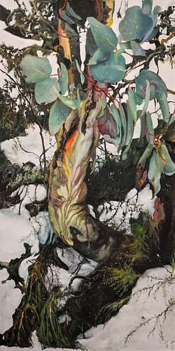 Winter landschap 006