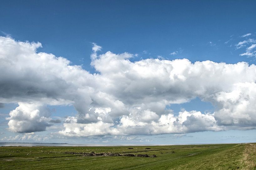 An der Nordsee (Deichvorland) von Norbert Sülzner