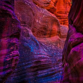 Bunte Felsen in Utah von Theo van Woerden