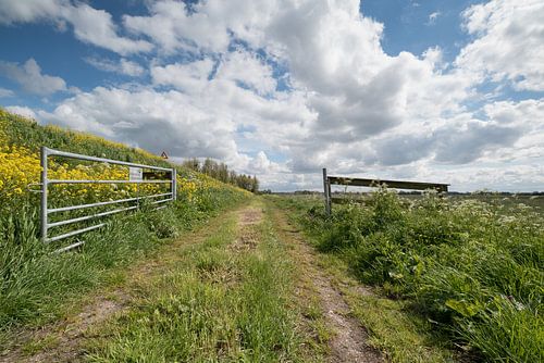 Polderlandschap Alblasserwaard