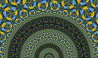 Arcs of Parrots