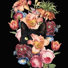 Where Cats Hide by Marja van den Hurk