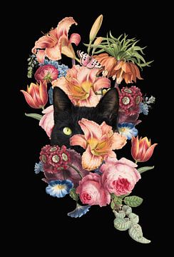 Where Cats Hide by Marja van den Hurk
