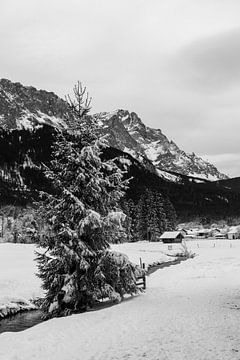 Winterlandschap met sneeuw Zugspitze in de Alpen Zwart-wit fotografie van Animaflora PicsStock