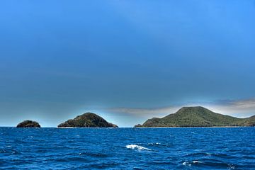 Tropische horizon in El Nido, Filippijnen van Frank Photos