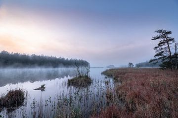 Mystieke ochtendstemming aan de Ostersee van Anselm Ziegler Photography