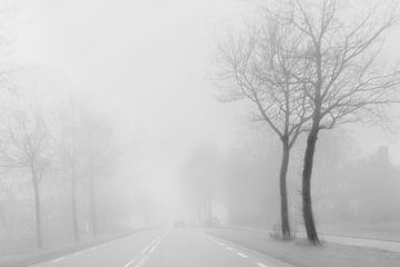 Mist op een winterdag. van Alie Ekkelenkamp