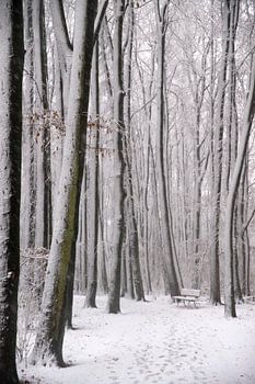 Bankje in de sneeuw