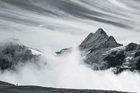 Bernese Oberland