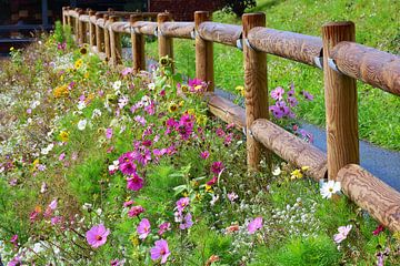 Butte de fleurs avec clôture sur Snellink Photos