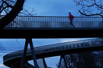 de rode renner van Ruud Otter