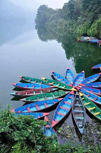 Kano's in Pokhara, Nepal