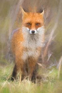 Portrait de renard peint sur Arjen Roos
