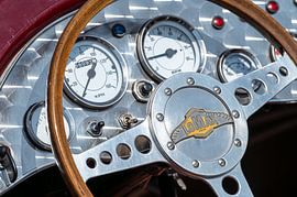 Lomax von Ria Overbeeke