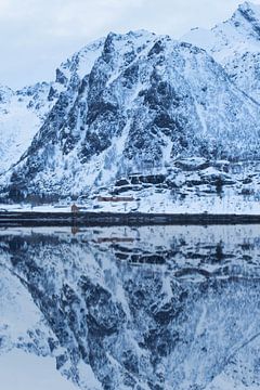 Winter Reflection by Ken Costers