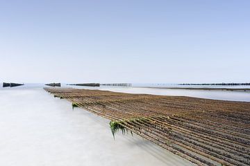 Banc de moules sur la côte d'Opale en France sur Claire van Dun