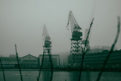 Foggy Cranes in Ruoholahti
