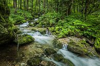 Röthbach waterval in het bos, Duitsland van Bob Slagter thumbnail